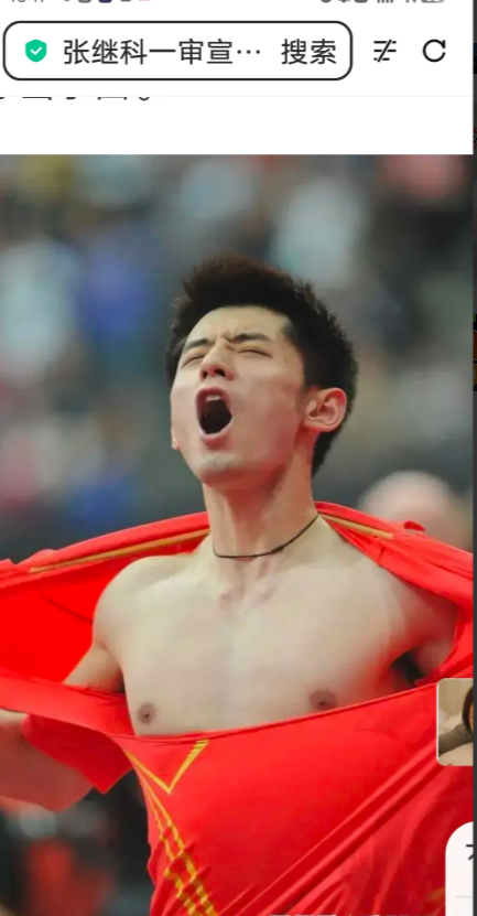 法国乒乓球队碾压比利时乒乓球队,张继科爆发神勇的简单介绍 法国乒乓球队碾压比利时乒乓球队,张继科爆发神勇的简单介绍