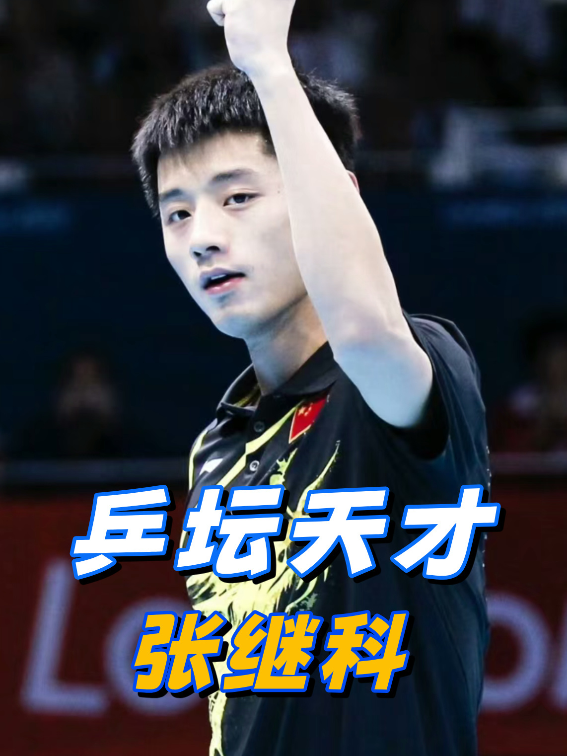 波兰乒乓球队翻盘德国乒乓球队,张继科惊艳世界的简单介绍 波兰乒乓球队翻盘德国乒乓球队,张继科惊艳世界的简单介绍