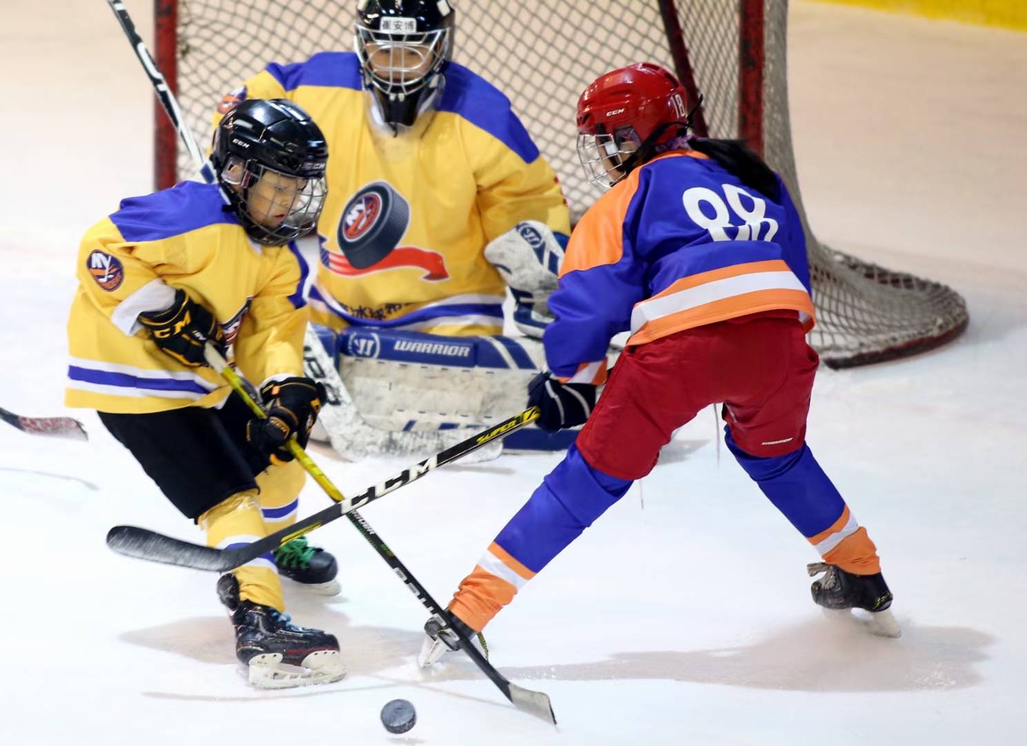 冰球赛季收官,冠军榜单揭晓的简单介绍 冰球赛季收官,冠军榜单揭晓的简单介绍