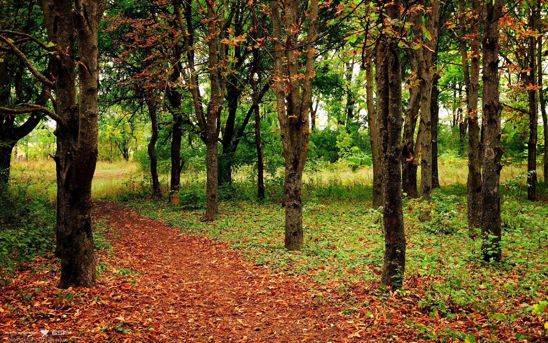 格林雷霆突破撕开活塞,湖人内外失衡吞三连败