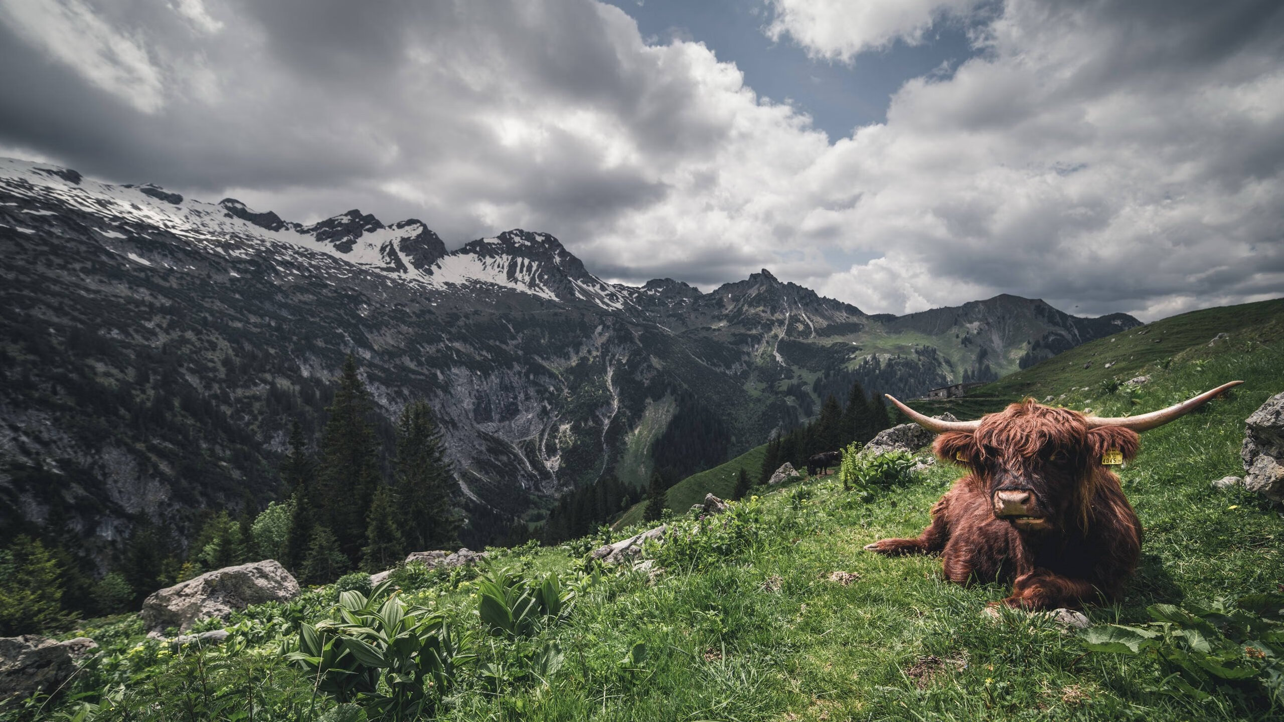 京多安关键先生闪耀，比利亚雷亚尔3-2惊天逆转玻利维亚