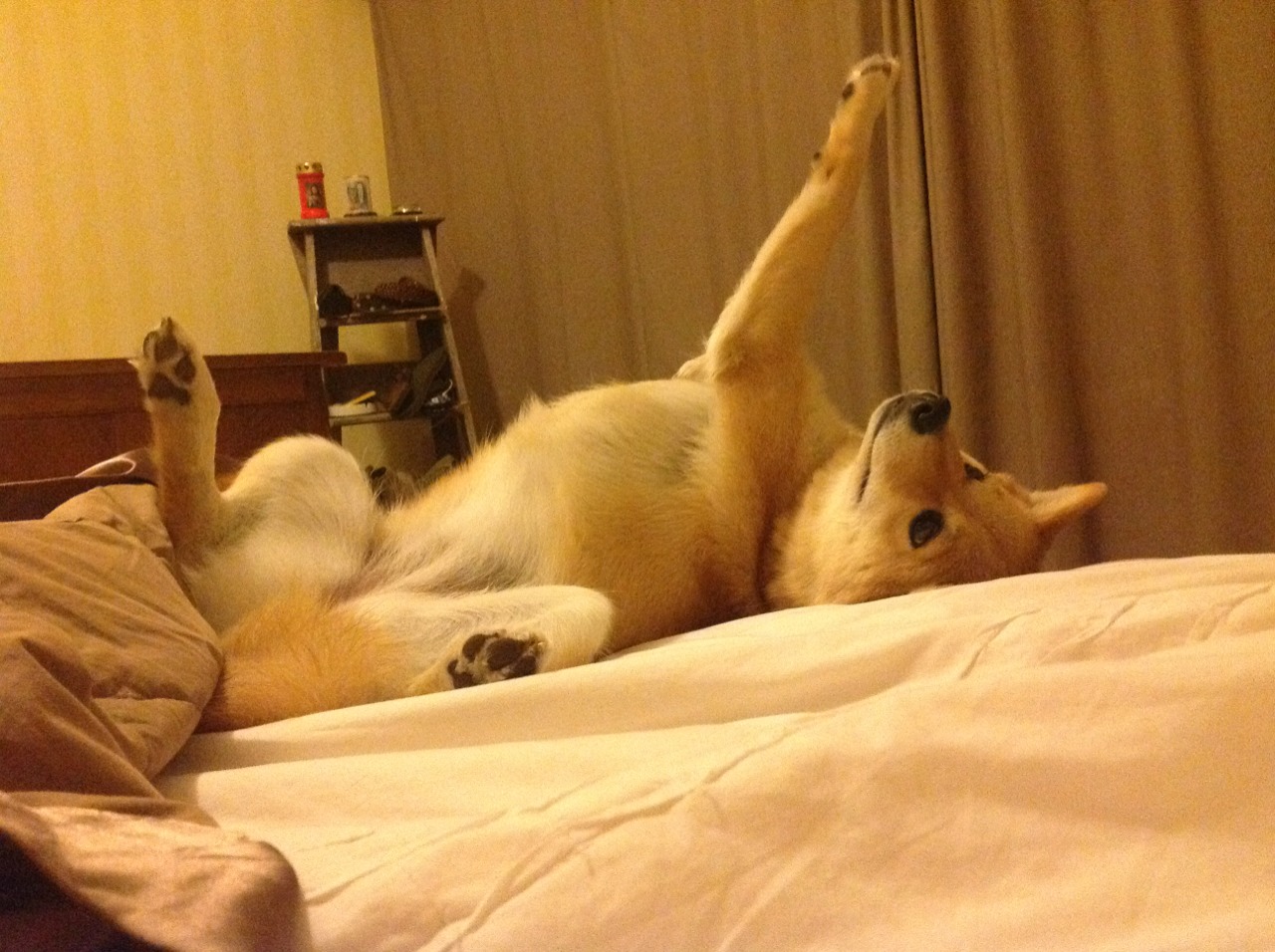 皇家社会对阵利物浦，巴斯托尼冠军级表现铸就防守传奇