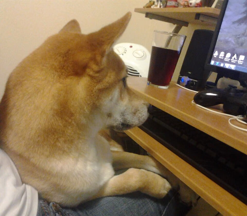 年度焦点之战,青岛公牛末节发力,逆转新疆锁定胜局