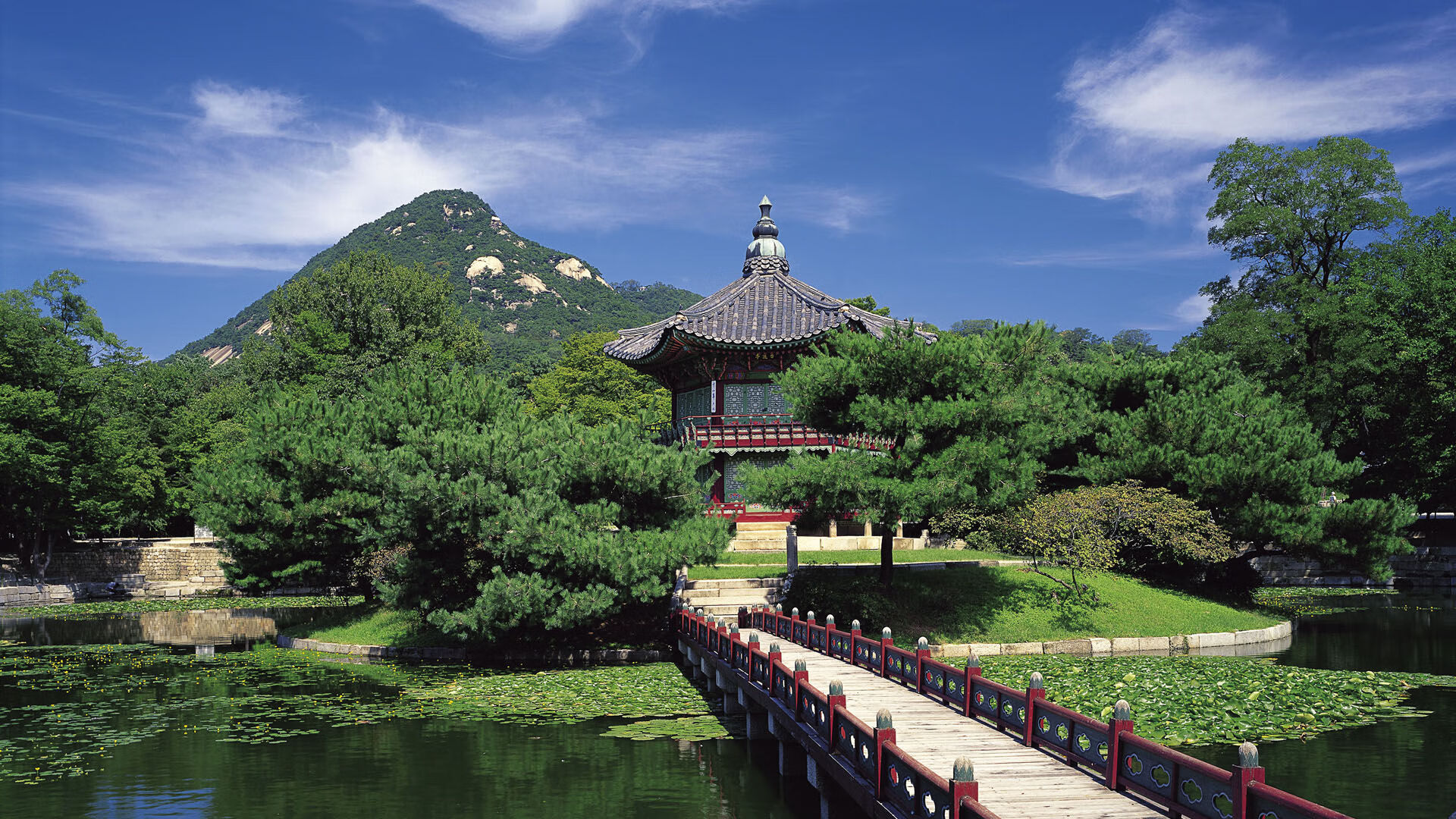 美加墨世界杯之夜，文班亚马扛起全队的远征战歌