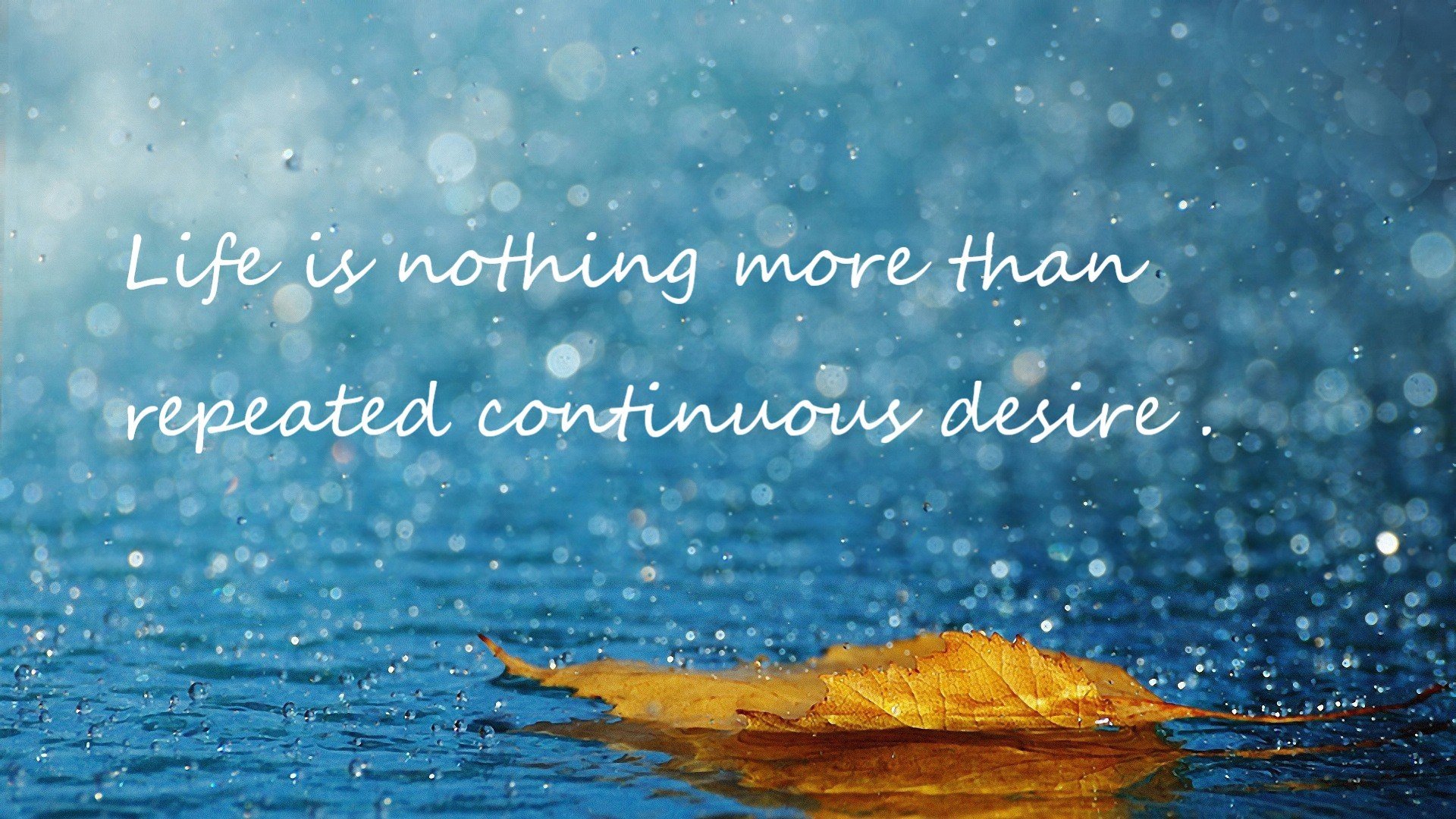 跨界主宰，里昂的绿茵压制与伊布的篮球幻梦